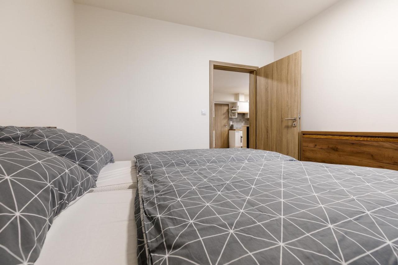 Apartment Ness Boží Dar المظهر الخارجي الصورة