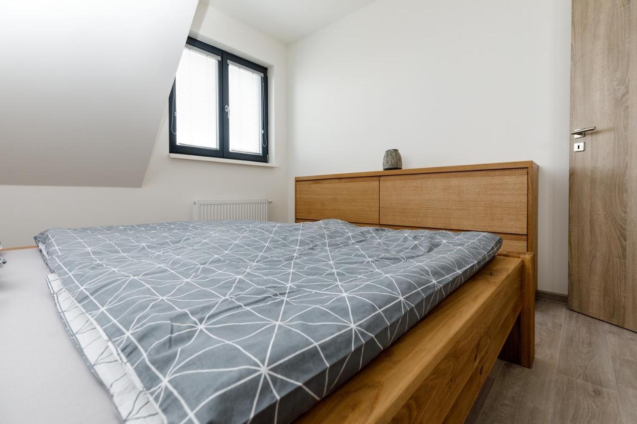 Apartment Ness Boží Dar المظهر الخارجي الصورة